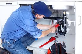 Best Tankless Water Heater Services  in Nes, IL